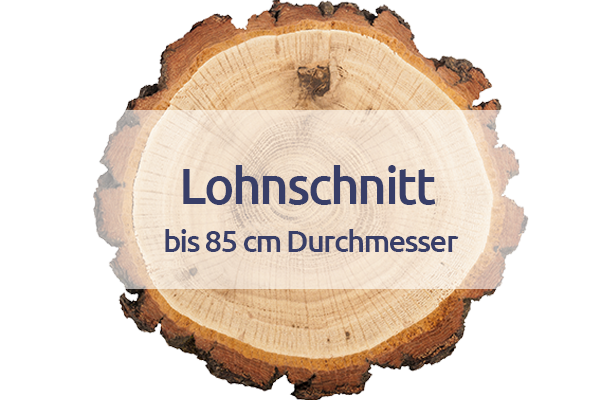 Baum Lohnschnitt